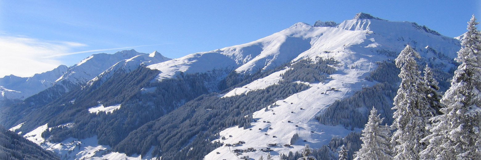 Lanersbacher Hof